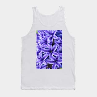 Hyacinthus orientalis  &#39;Blue Jacket&#39;   AGM  Hyacinth Tank Top